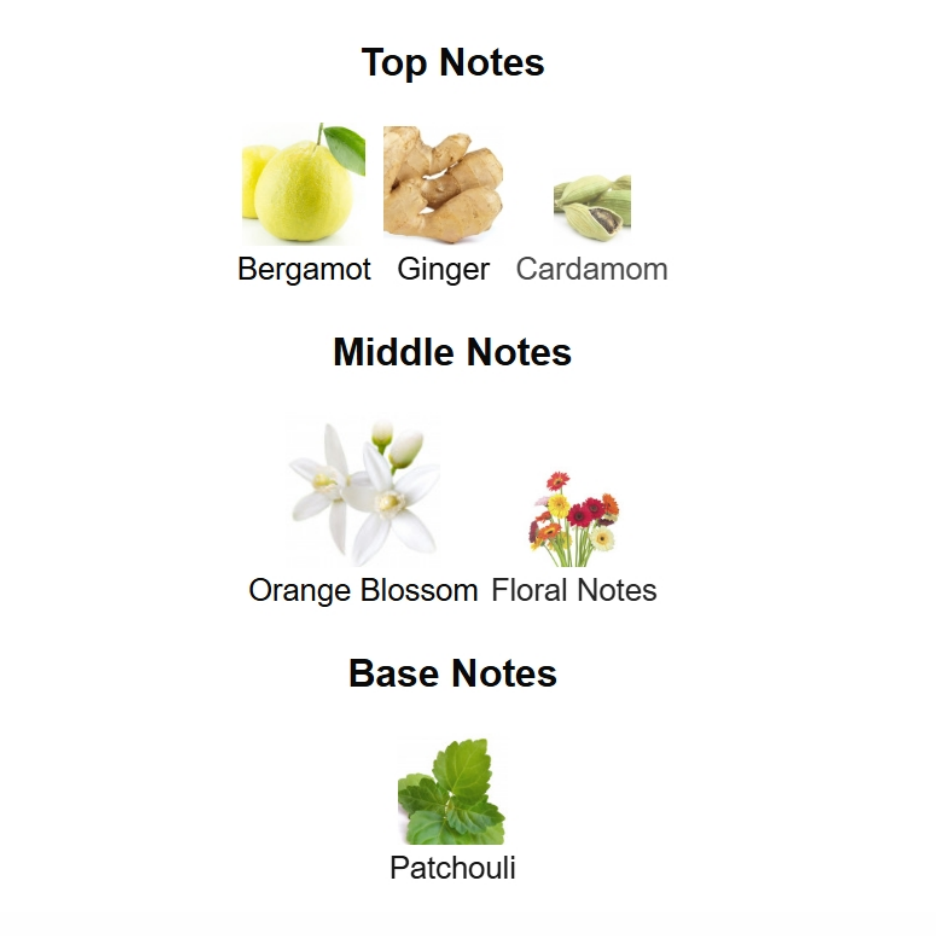 Delivery MYSLF L’Absolu 100ML