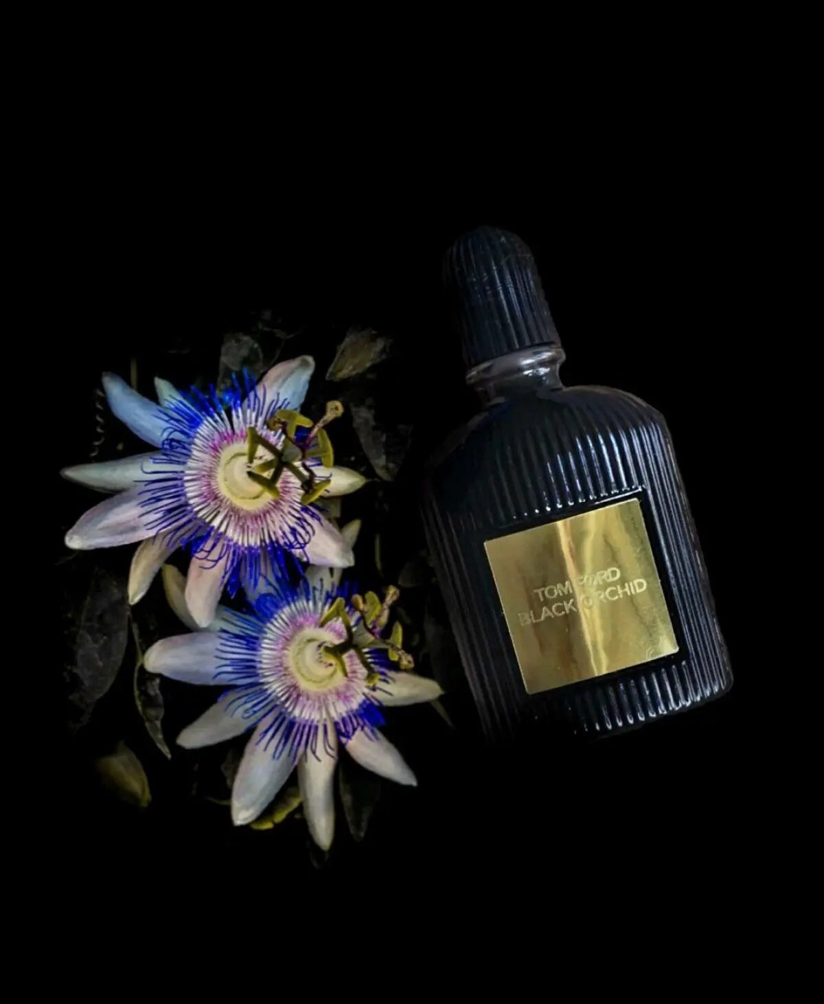 Delivery Black Orchid 100ml