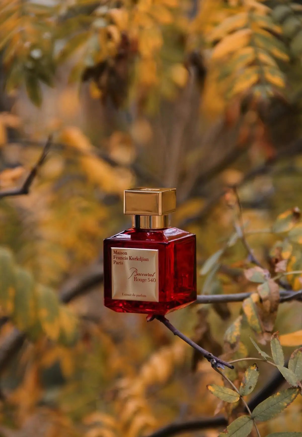 Delivery Baccarat Rouge 540 Extrait de Parfum