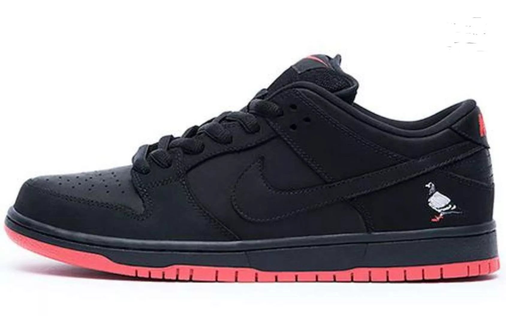 Black Pigeon