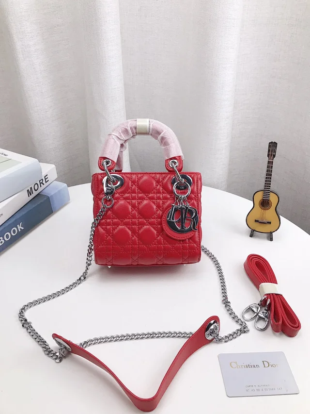 Dior Journey Hobo and Lady product detail image 28