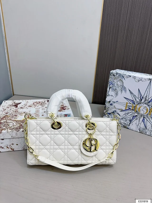 Dior Journey Hobo and Lady product detail image 33