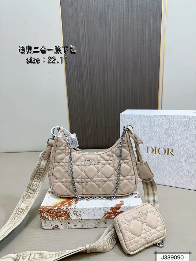 Dior Journey Hobo and Lady product detail image 23