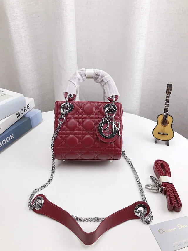 Dior Journey Hobo and Lady product detail image 26