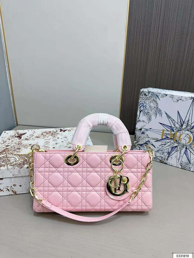 Dior Journey Hobo and Lady product detail image 34