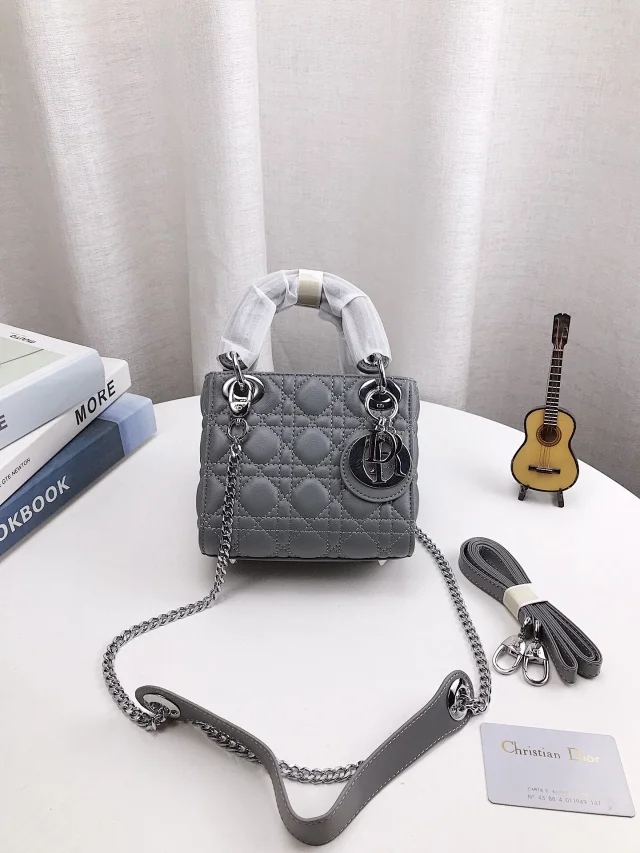 Dior Journey Hobo and Lady product detail image 24