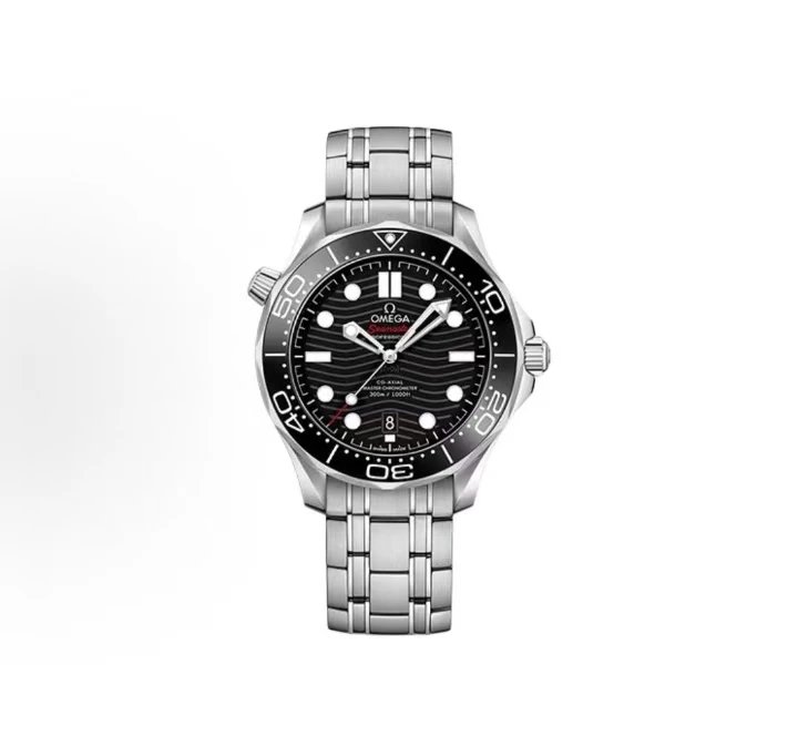 Omega Seamaster Professional Watch - Black Dial-010642
