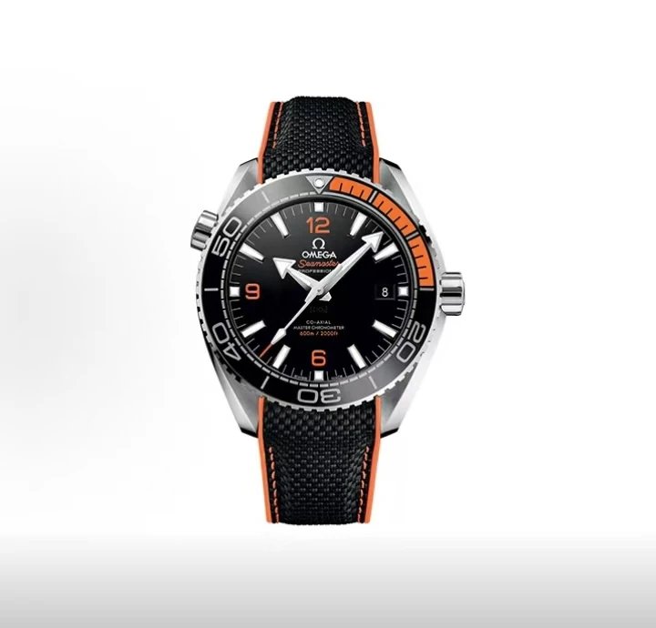 Omega Seamaster Professional Watch - Black Dial-010900