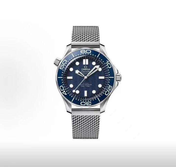 Omega Seamaster Professional Watch - Blue Dial-010667