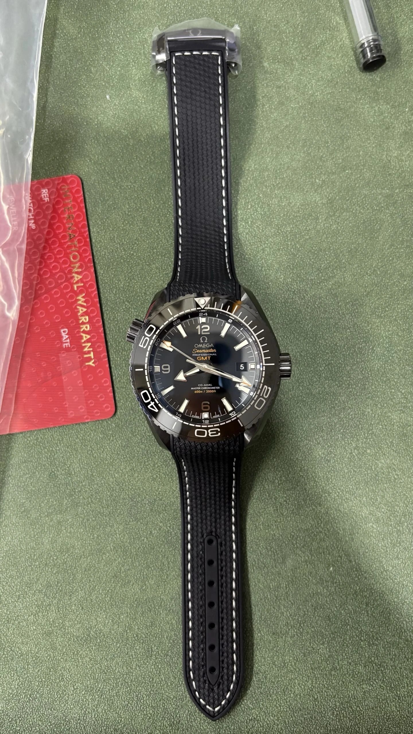 Omega Seamaster Professional GMT Watch