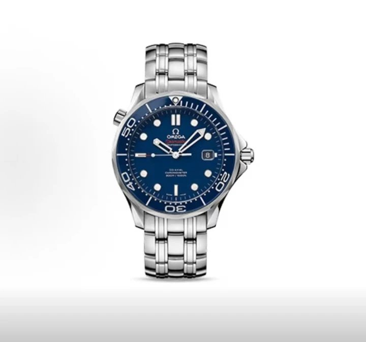Omega Seamaster Professional Watch - Blue Dial-010662