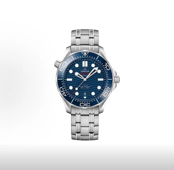 Omega Seamaster Professional Watch - Blue Dial-010929