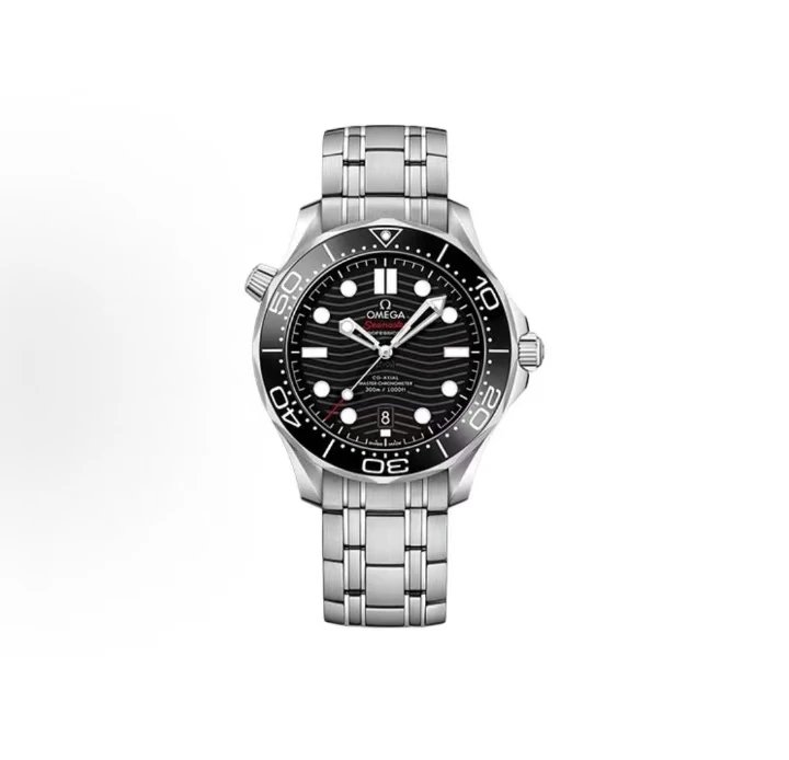 Omega Seamaster Professional Watch - Black Dial-010671