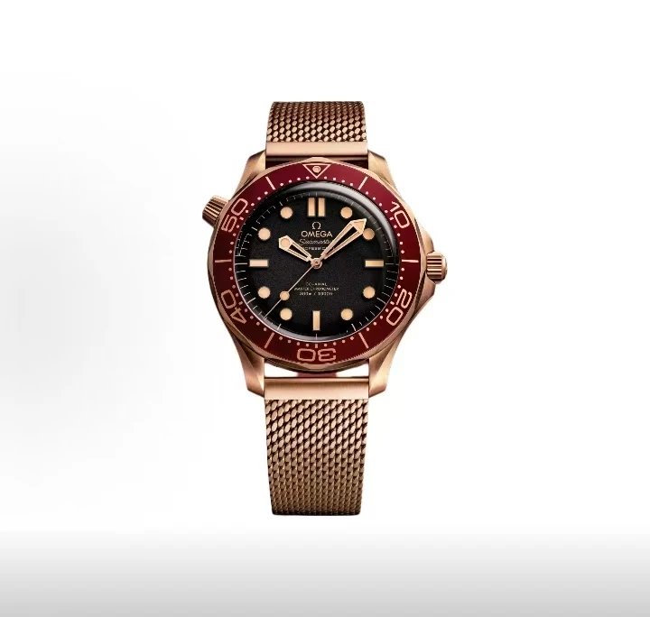 Omega Seamaster Professional Watch - Black Dial-010907