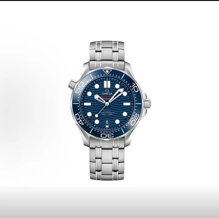 Omega Seamaster Professional Watch - Blue Dial-010924