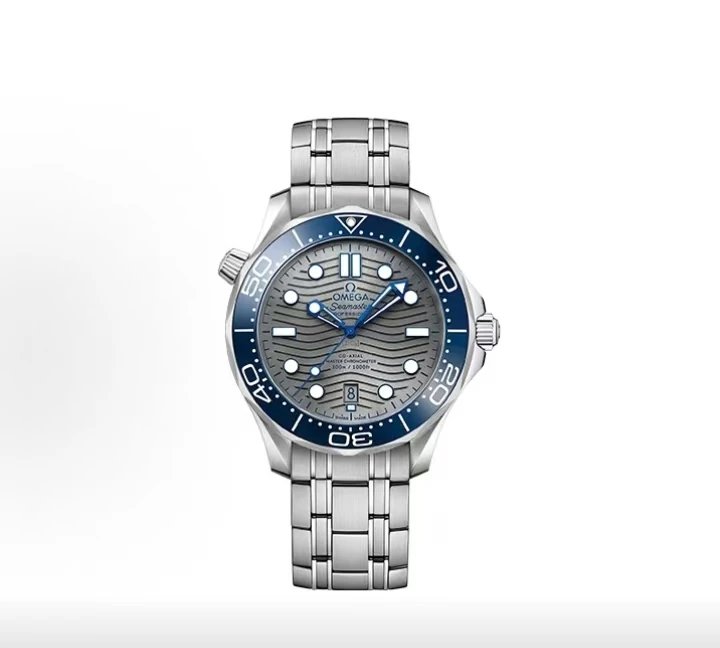 Omega Seamaster Professional Watch - Gray Wave Dial-010610