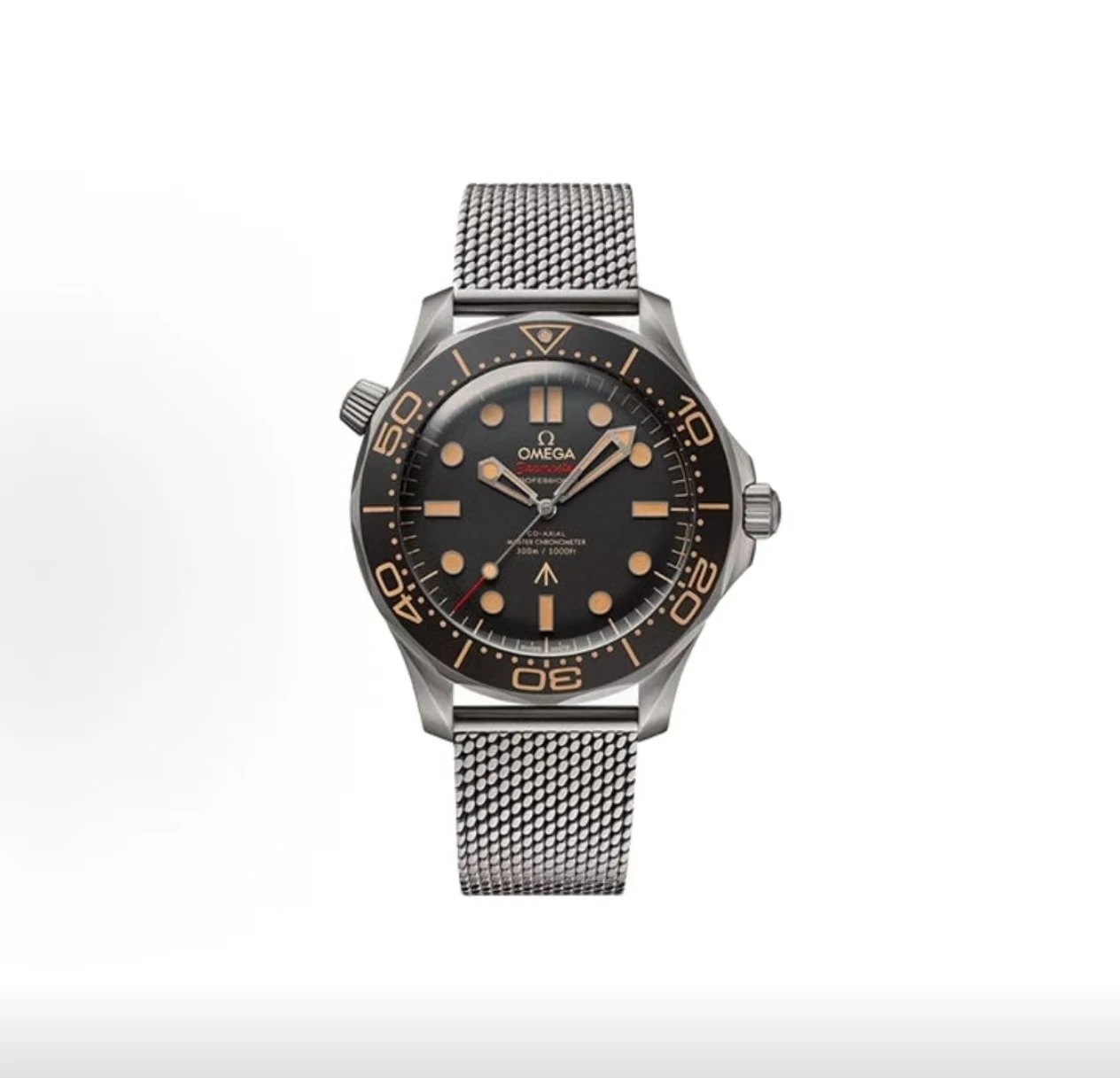 Omega Seamaster Professional Watch - Black Dial-010717