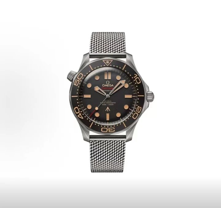 Omega Seamaster Professional Watch - Black Dial-010718