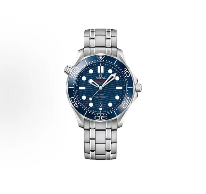 Omega Seamaster Professional Watch - Blue Dial-010690