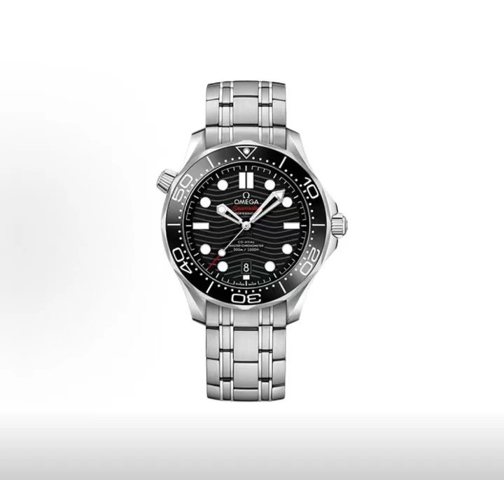 Omega Seamaster Professional Watch - Black Dial-010640
