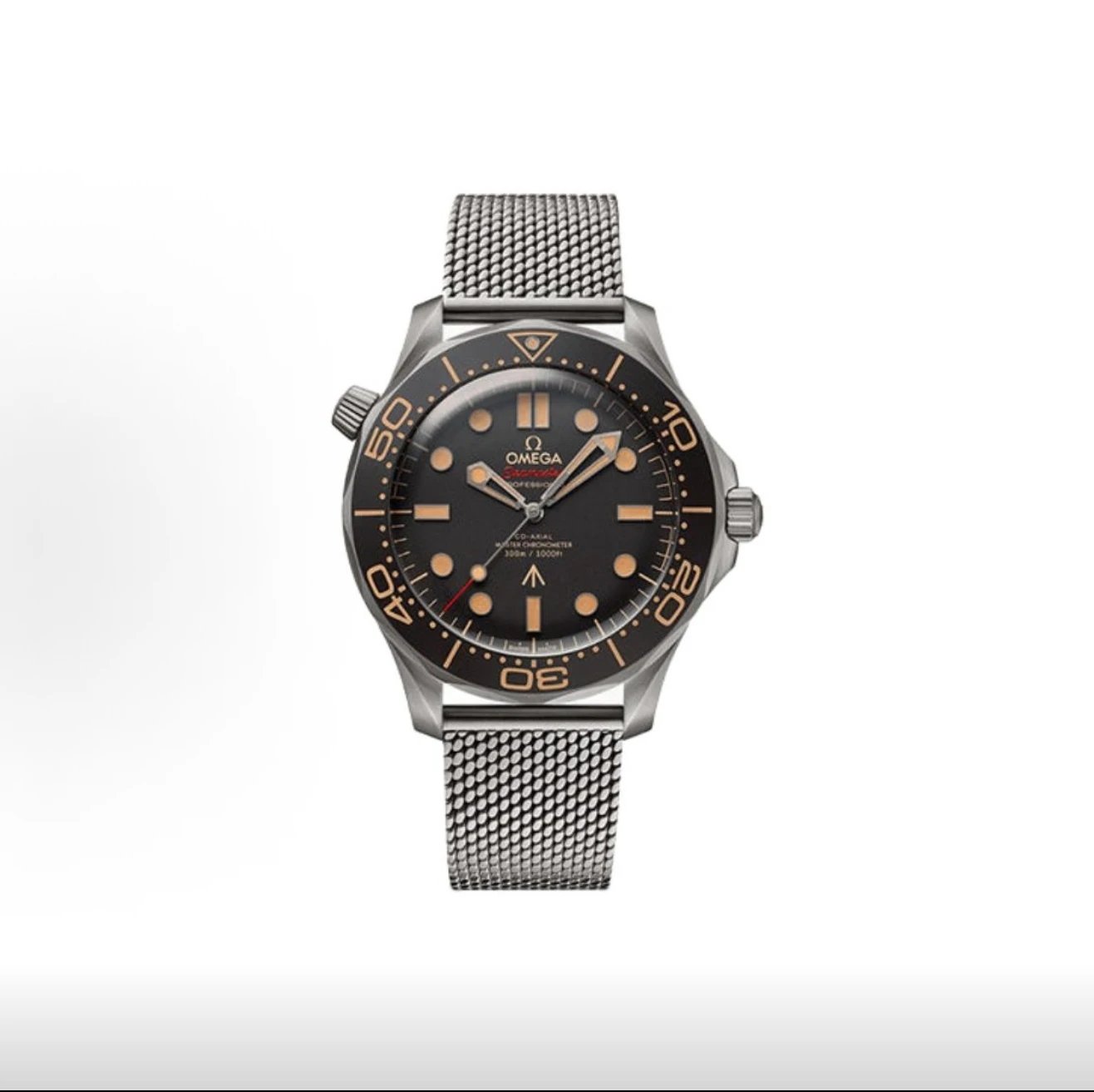 Omega Seamaster Professional Watch - Black Dial-010713