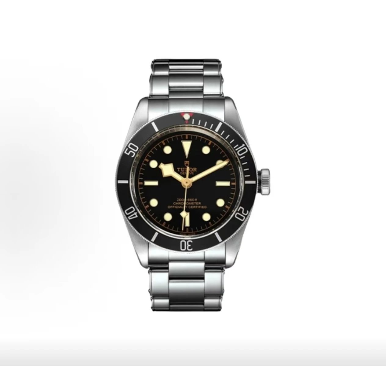 Tudor Black Bay 54 Watch - Black Dial-011078