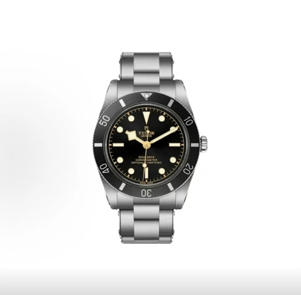 Tudor Black Bay 54 Watch - Black Dial-011013