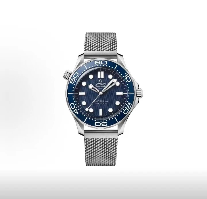 Omega Seamaster Professional Watch - Blue Dial-010878