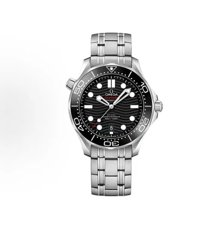 Omega Seamaster Professional Watch - Black Dial-010725