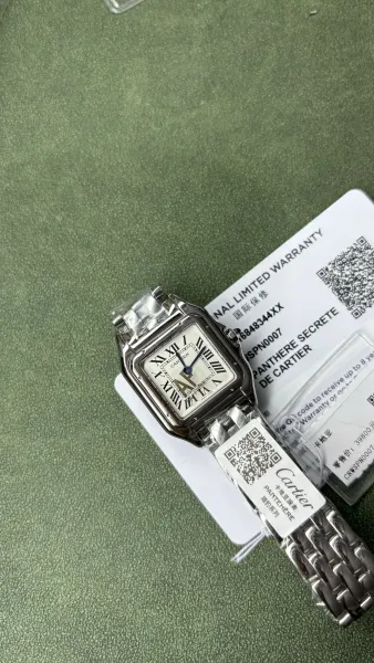 Cartier Panthère Secrète de Cartier Silver Stainless Steel Watch Watches - 2