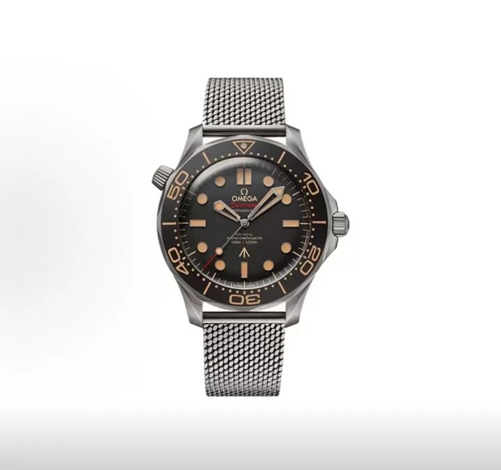 Omega Seamaster Professional Watch - Black Dial-010587