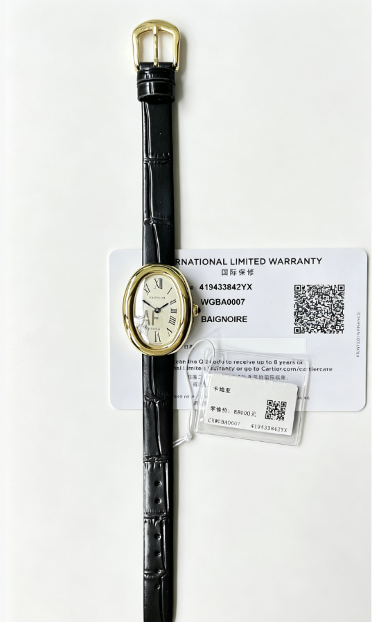 Cartier Baignoire Watch - Silver Dial-011179