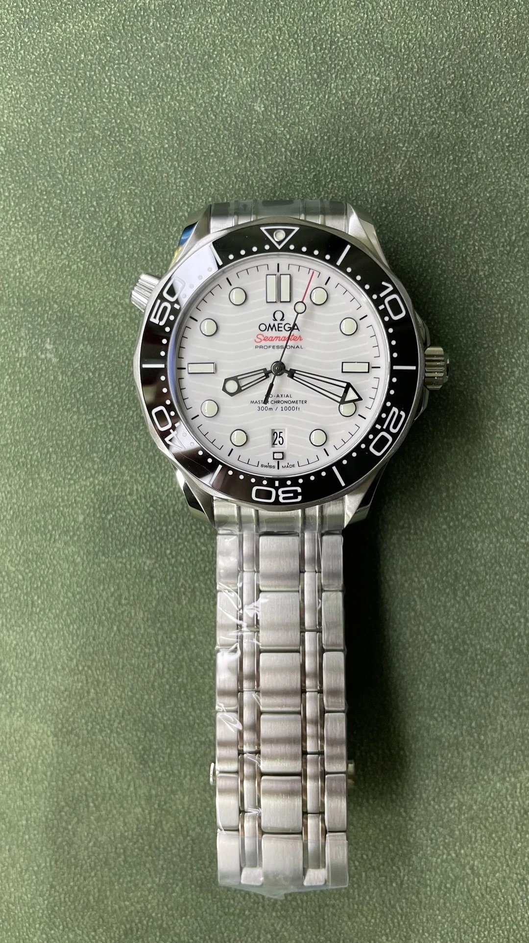 Omega Seamaster Professional Watch