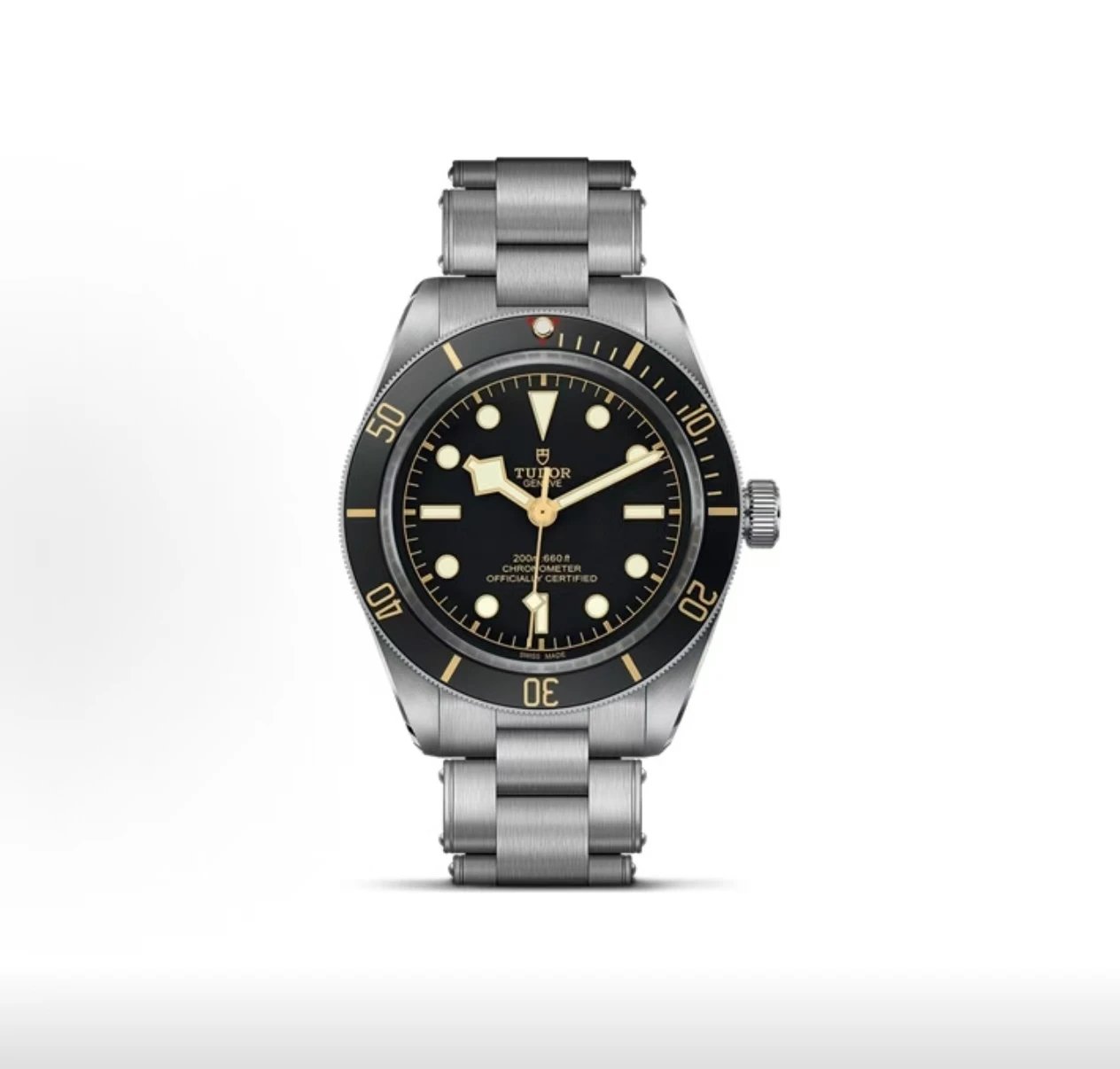 Tudor Black Bay Watch - Black Dial-011074