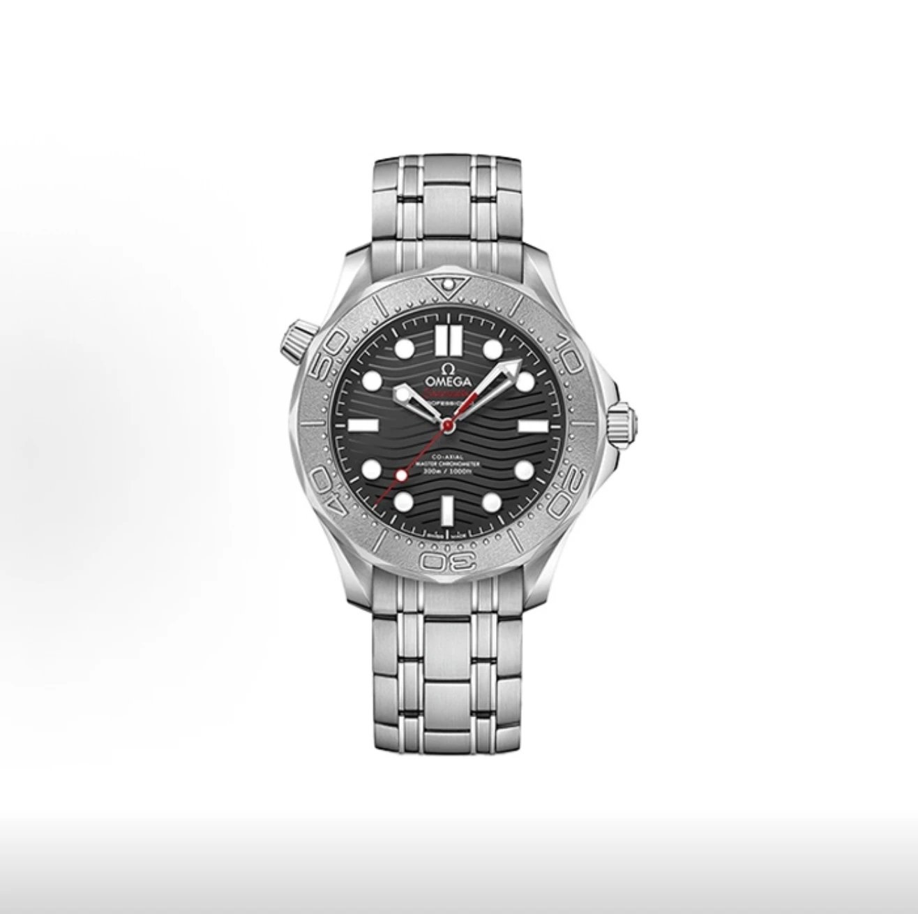 Omega Seamaster Professional Watch - Black Dial-010588