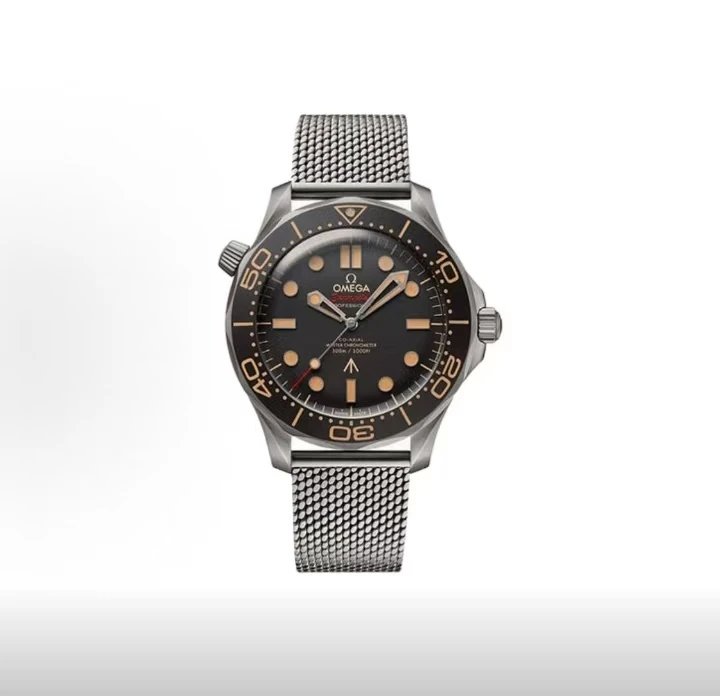 Omega Seamaster Professional Watch - Black Dial-010880