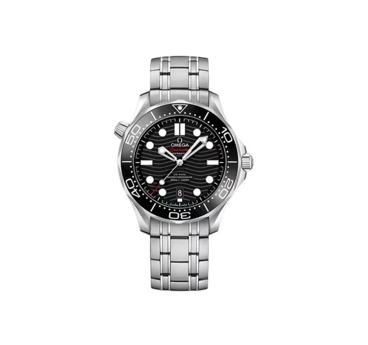 Omega Seamaster Professional Watch - Black Dial-010606