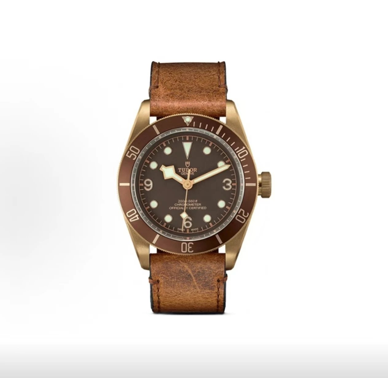 Tudor Black Bay Bronze Watch - Brown Dial-010864