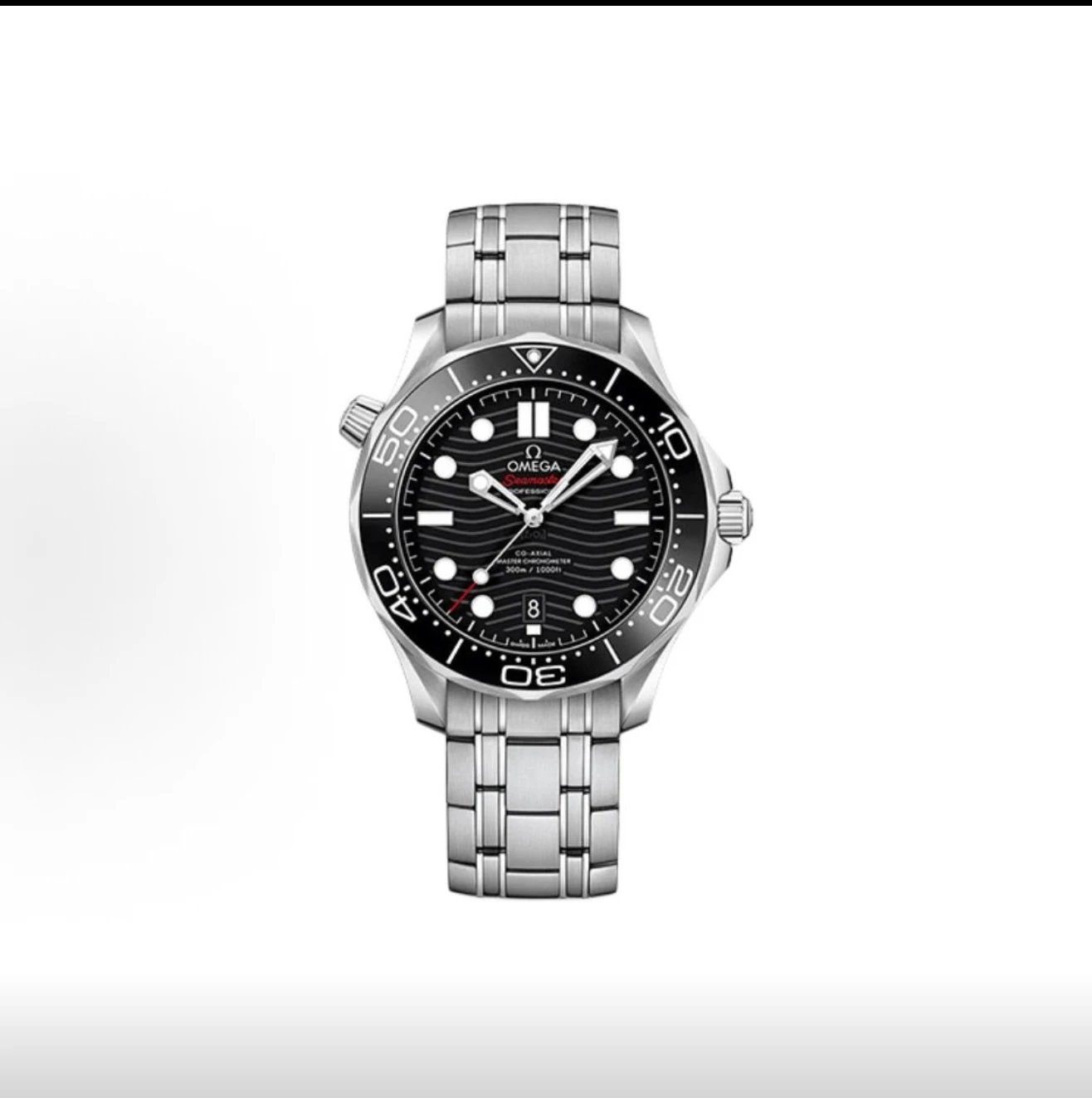 Omega Seamaster Professional Watch - Black Dial-010609