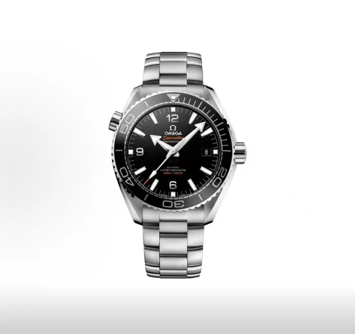 Omega Seamaster Professional Watch - Black Dial-010719