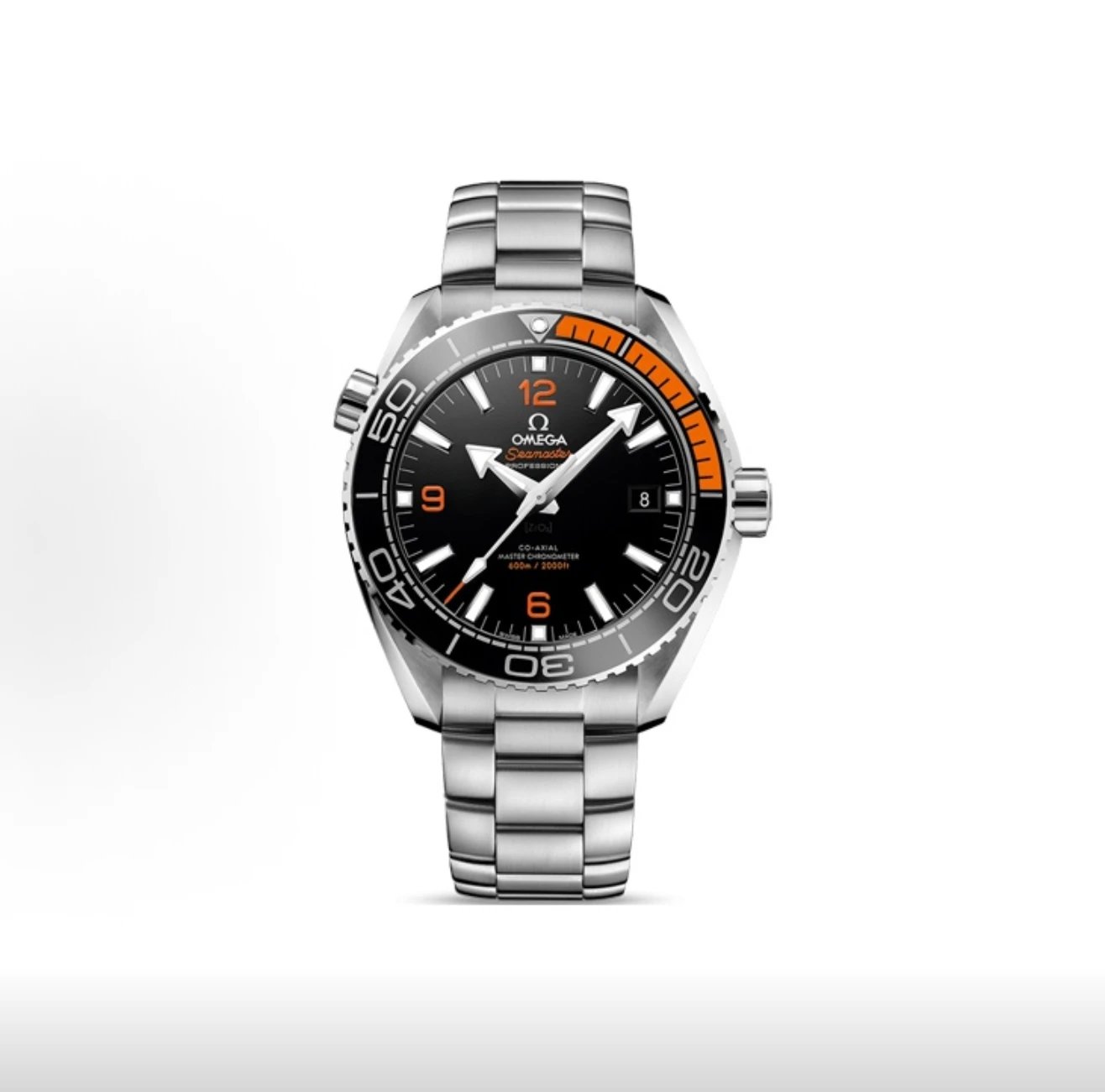 Omega Seamaster Professional Watch - Black Dial-010930