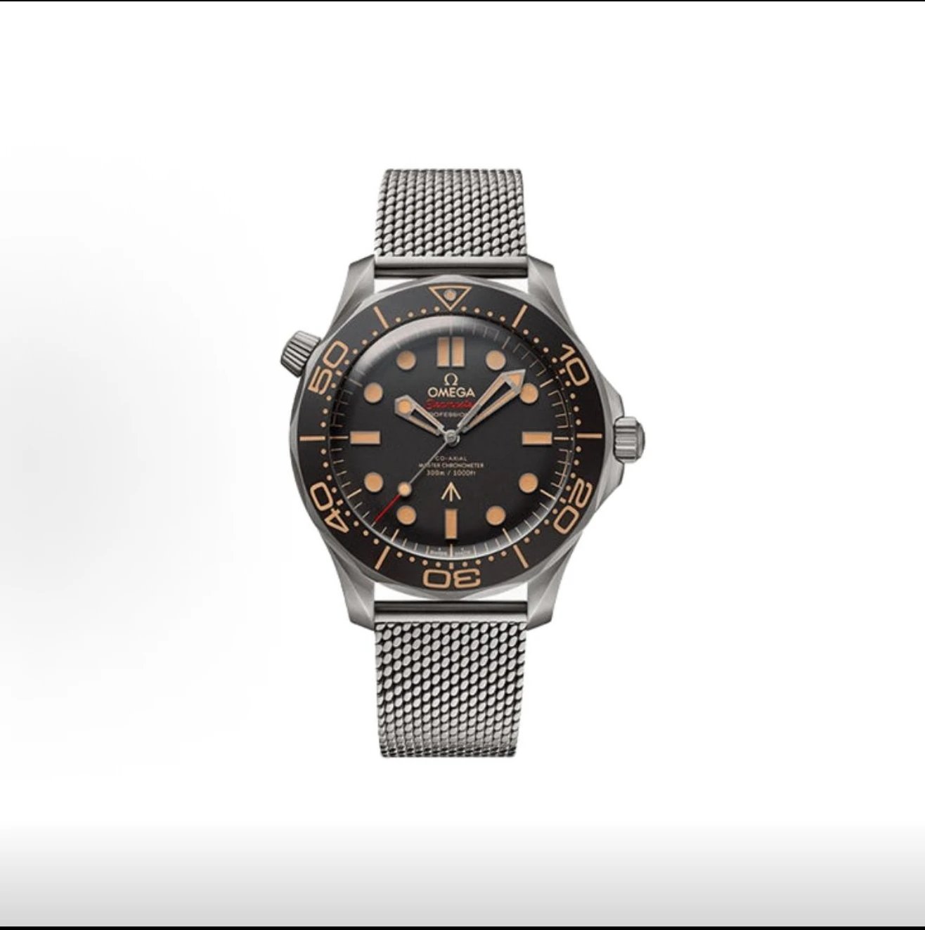 Omega Seamaster Professional Watch - Black Dial-010932