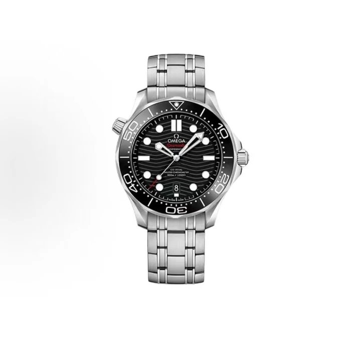 Omega Seamaster Professional Watch - Black Dial-010724