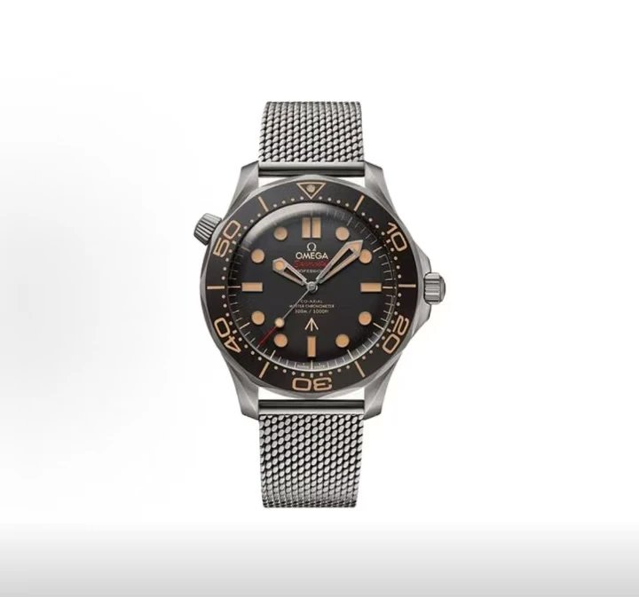 Omega Seamaster Professional Watch - Black Dial-010586