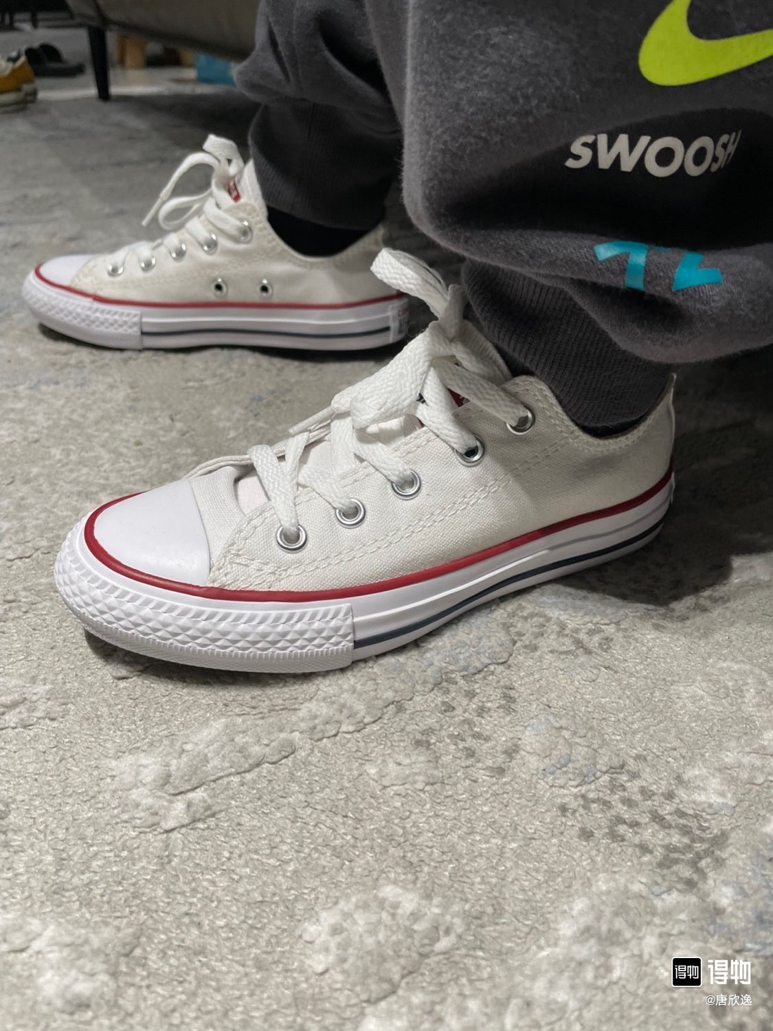Converse Classic White Low Canvas Shoes