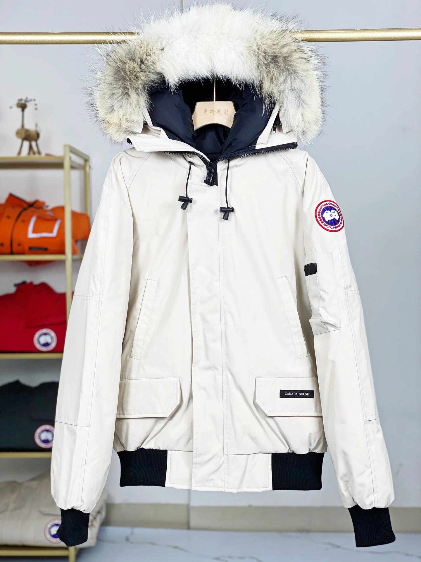C- a-n-a-d-a G-o-s-e Down Jacket Collection [Please leave your size in the comments] foto 6