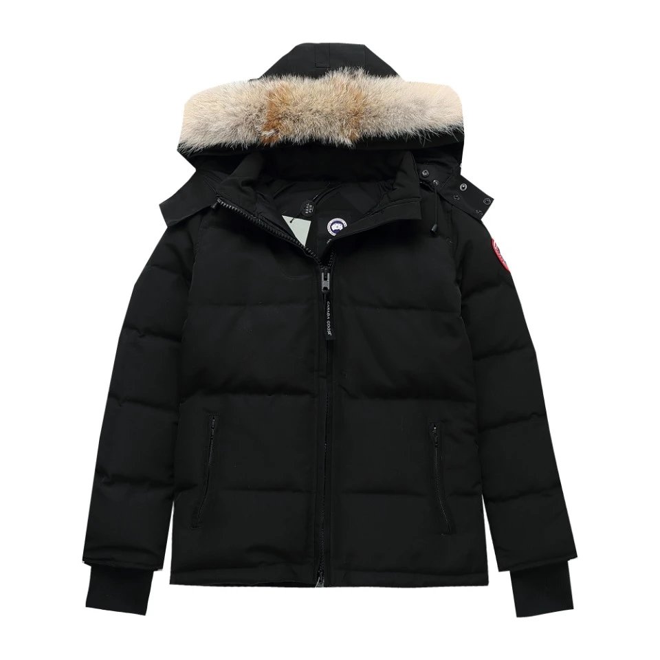 C- a-n-a-d-a G-o-s-e Down Jacket Collection [Please leave your size in the comments] foto 3