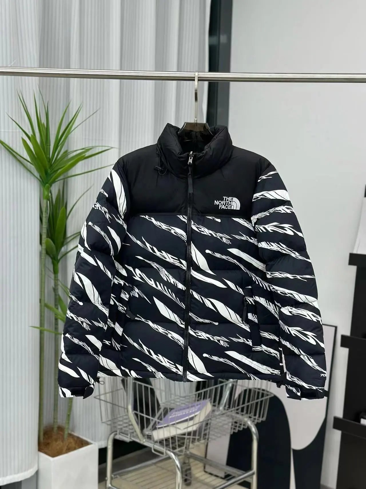 black zebra
