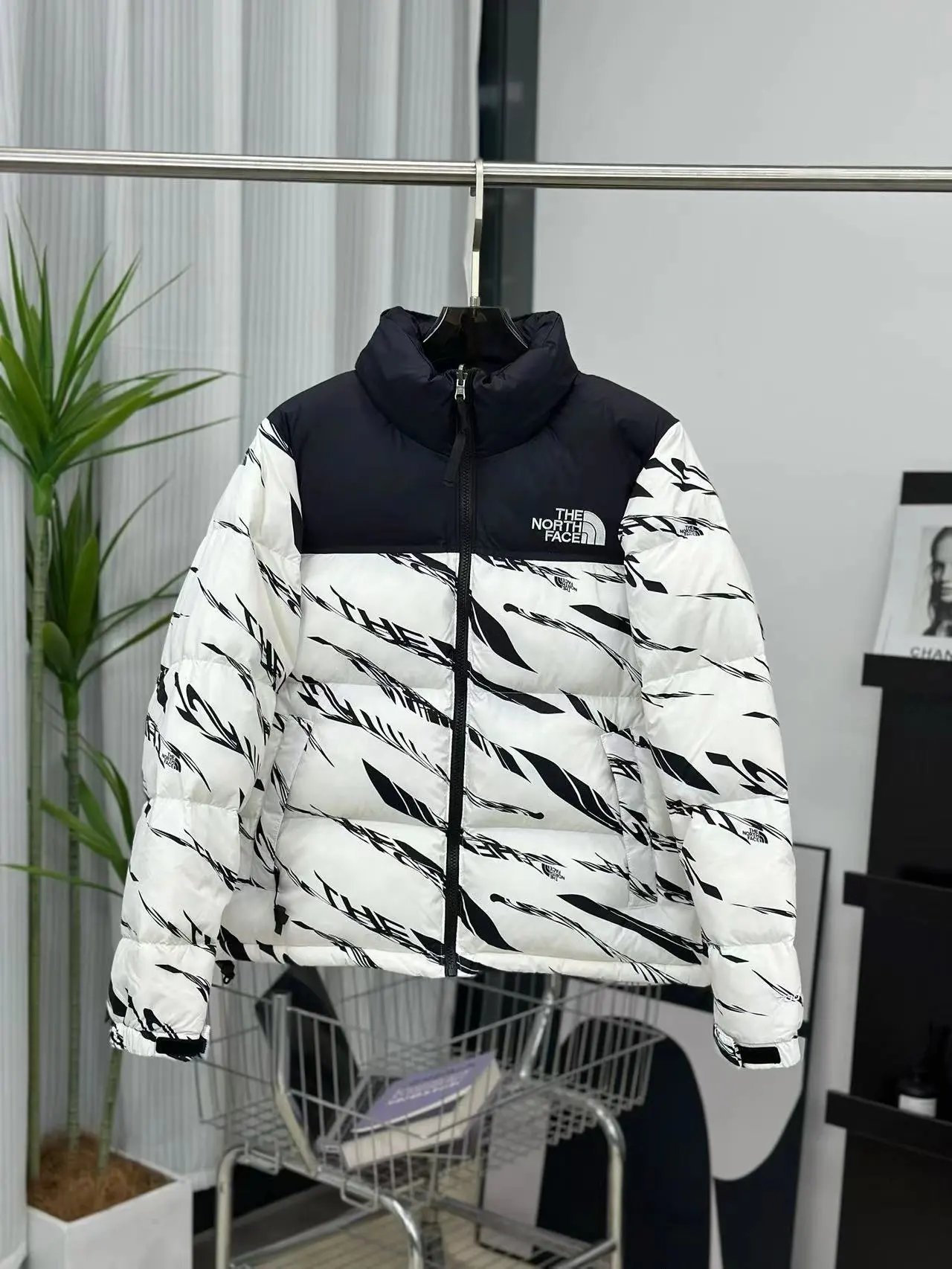 white zebra