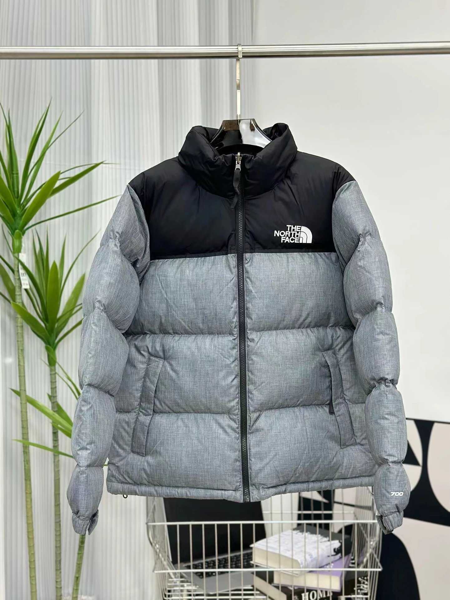 pallid gray